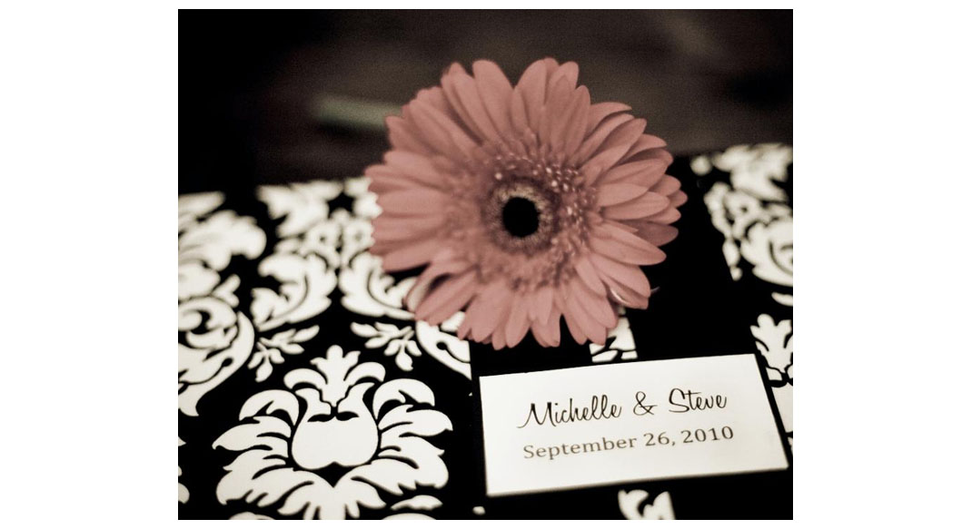 Michelle & Steve's Wedding Book